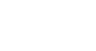 bild logo